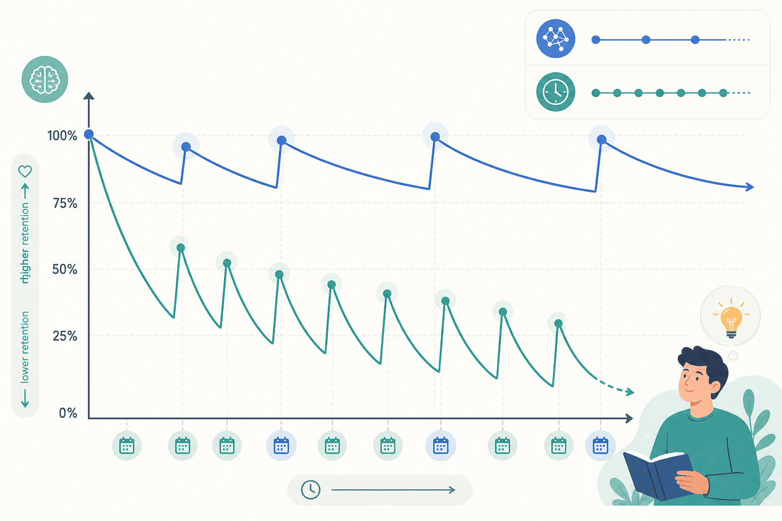 Two spaced repetition memory retention curves comparing a steeper-drop older algorithm with a smoother optimally spaced modern algorithm