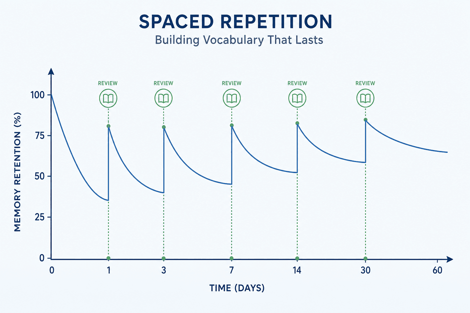 An editorial diagram showing the spaced repetition forgetting curve with declining memory retention interrupted by review spikes at progressively wider intervals, each reaching a higher retention baseline.