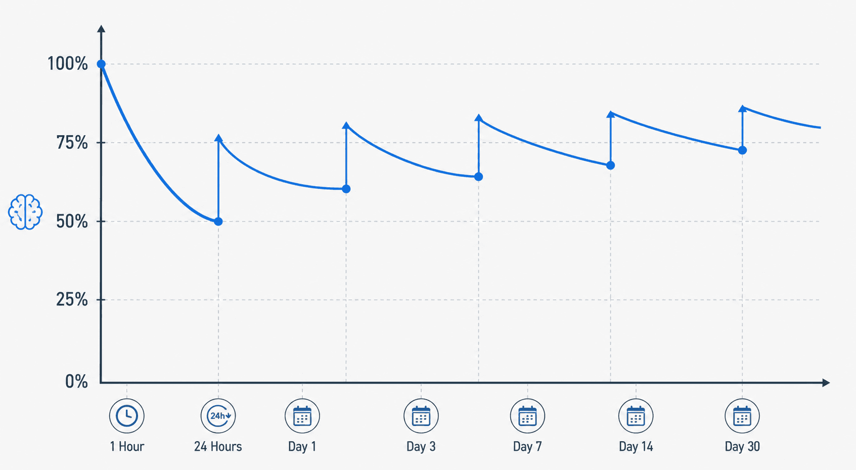 Flat vector diagram of Ebbinghaus's forgetting curve with upward arrows at spaced review intervals flattening the curve.