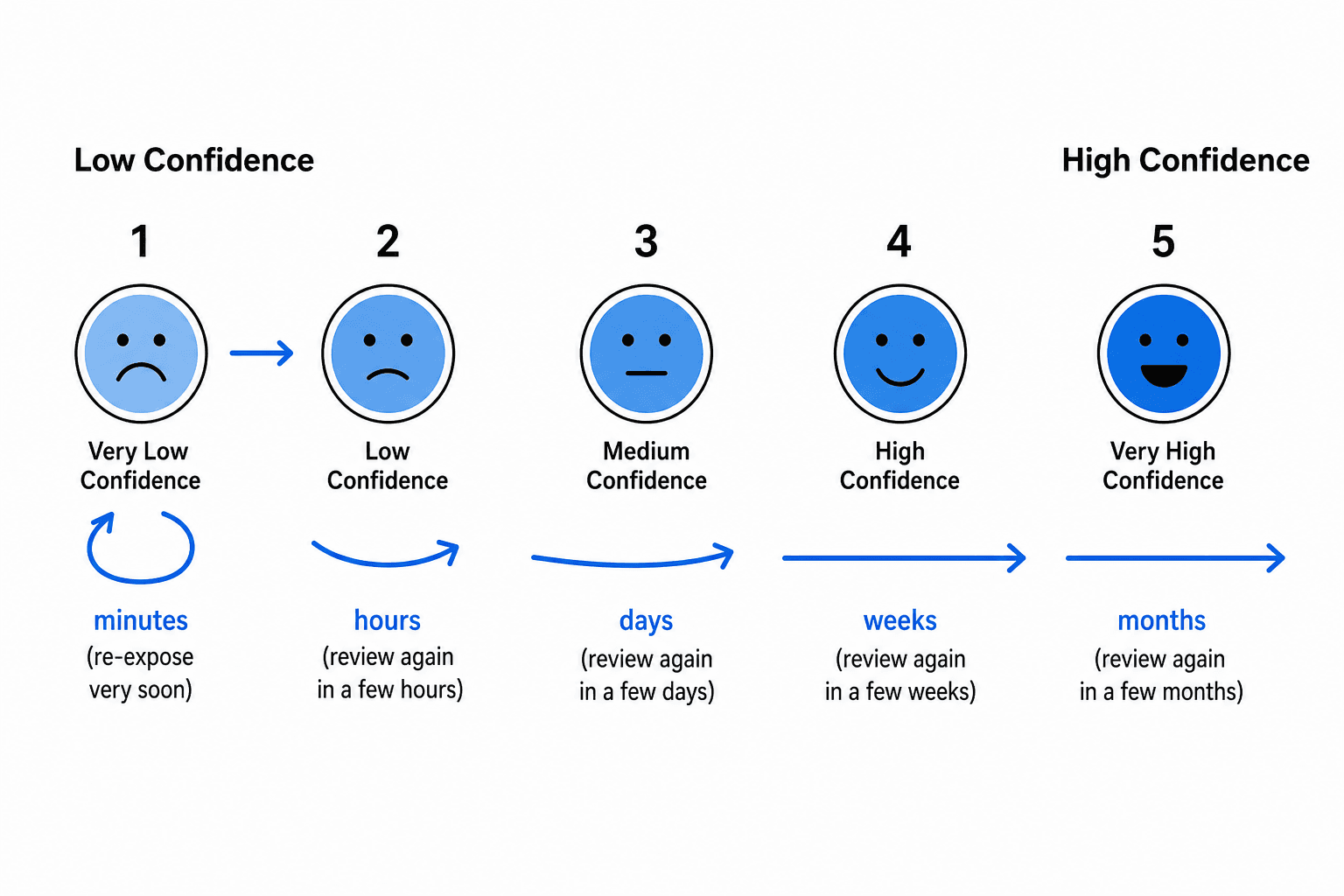 Infographic showing five confidence rating levels with looping arrows for low ratings indicating rapid re-exposure and longer straight arrows for high ratings indicating extended intervals.