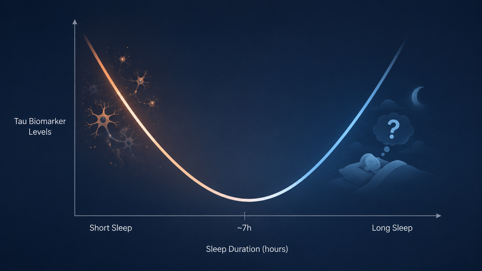 U-shaped curve showing tau biomarker levels rising at both short and long sleep durations
