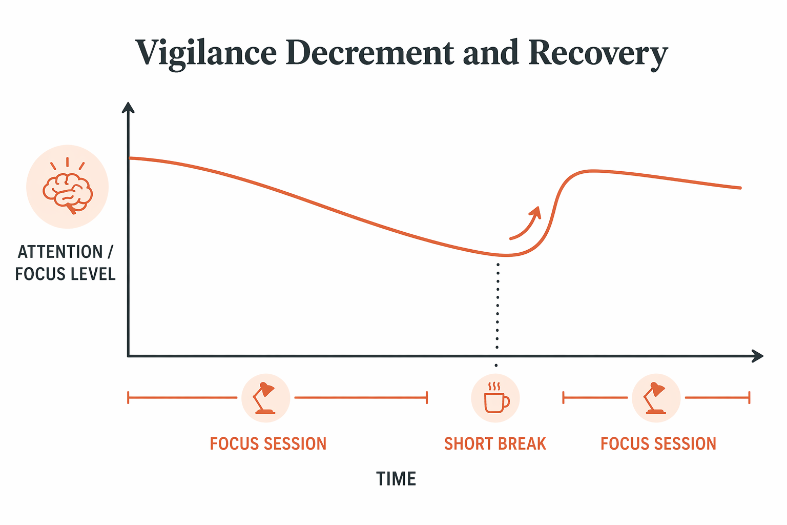 Minimal line chart illustration showing a focus level curve that declines over a work session, then recovers after a short break marker, with a second session starting at a higher level.