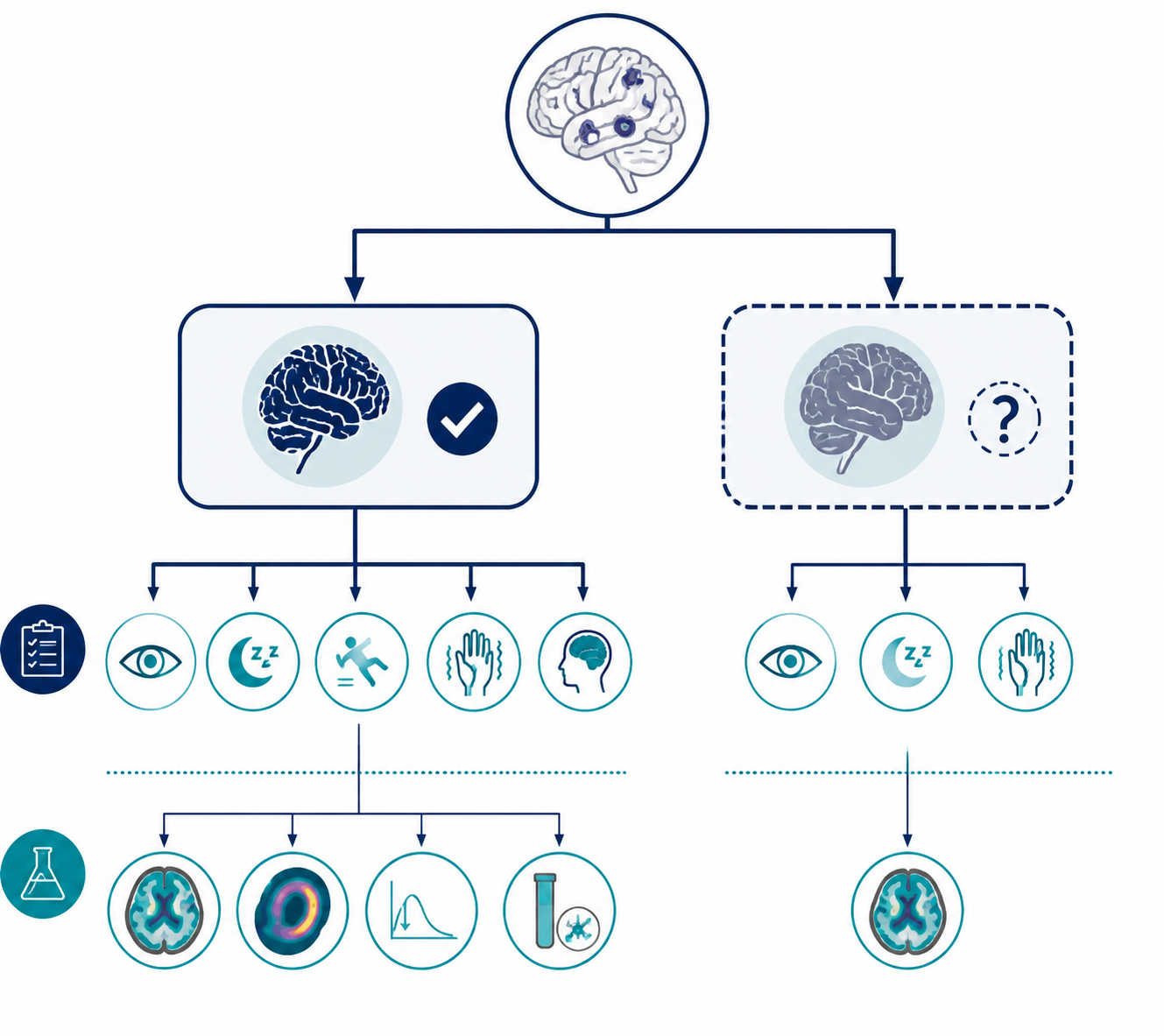 Diagnostic classification framework separating probable DLB from possible DLB using core features and biomarkers