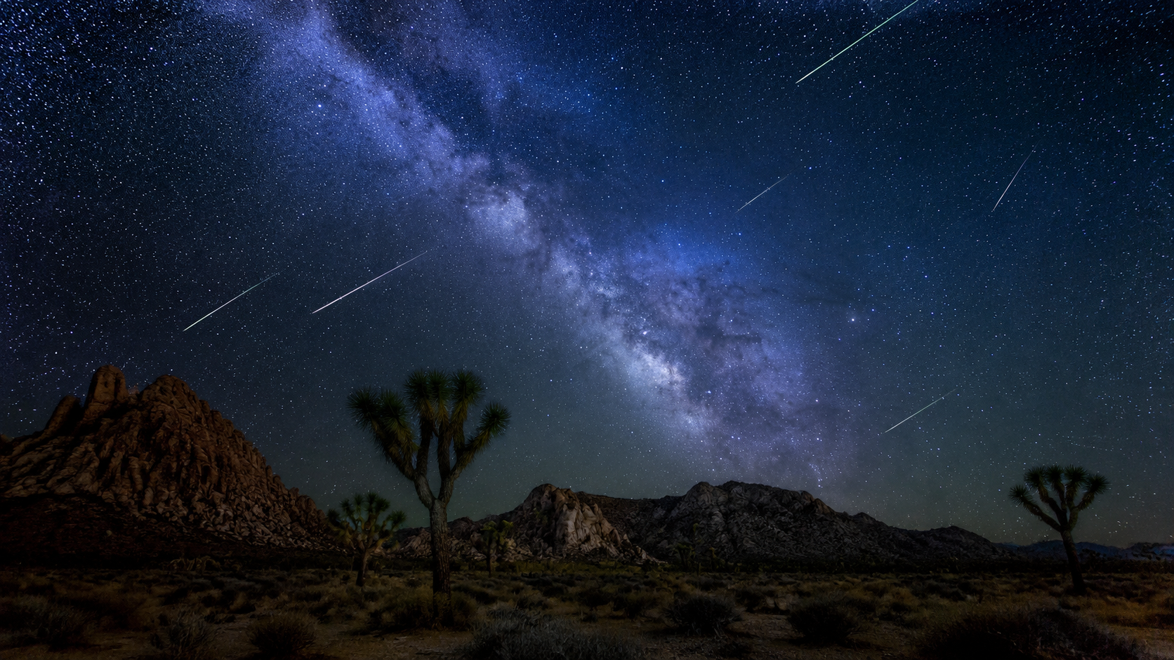 Wide-angle desert night sky with the Milky Way and bright meteor streaks above silhouetted desert plants and canyon rocks
