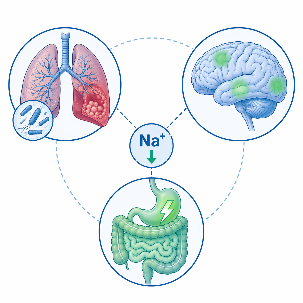 How to Master Legionnaires' Disease Symptoms for the USMLE
