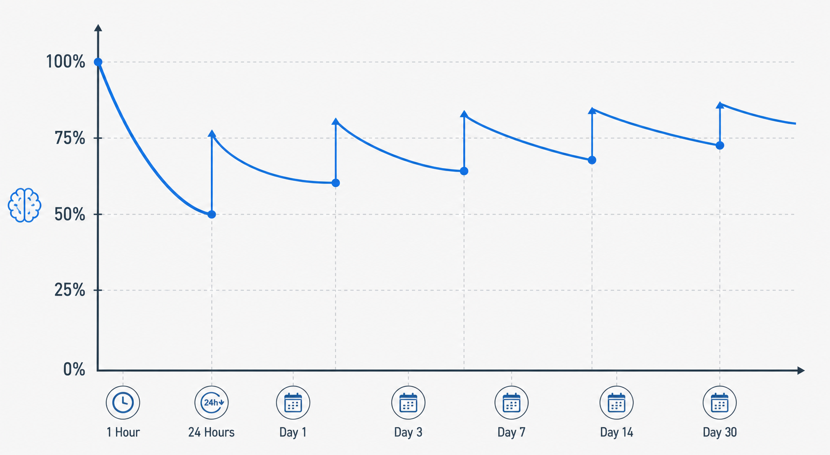 Flat vector diagram of Ebbinghaus's forgetting curve with upward arrows at spaced review intervals flattening the curve.