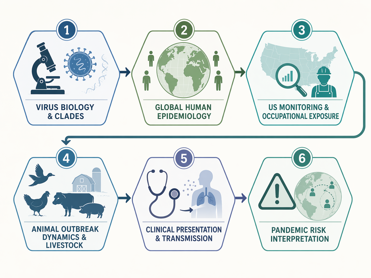A six-part learning framework for H5N1 study, showing virus biology, epidemiology, monitoring, livestock dynamics, clinical presentation, and pandemic risk.