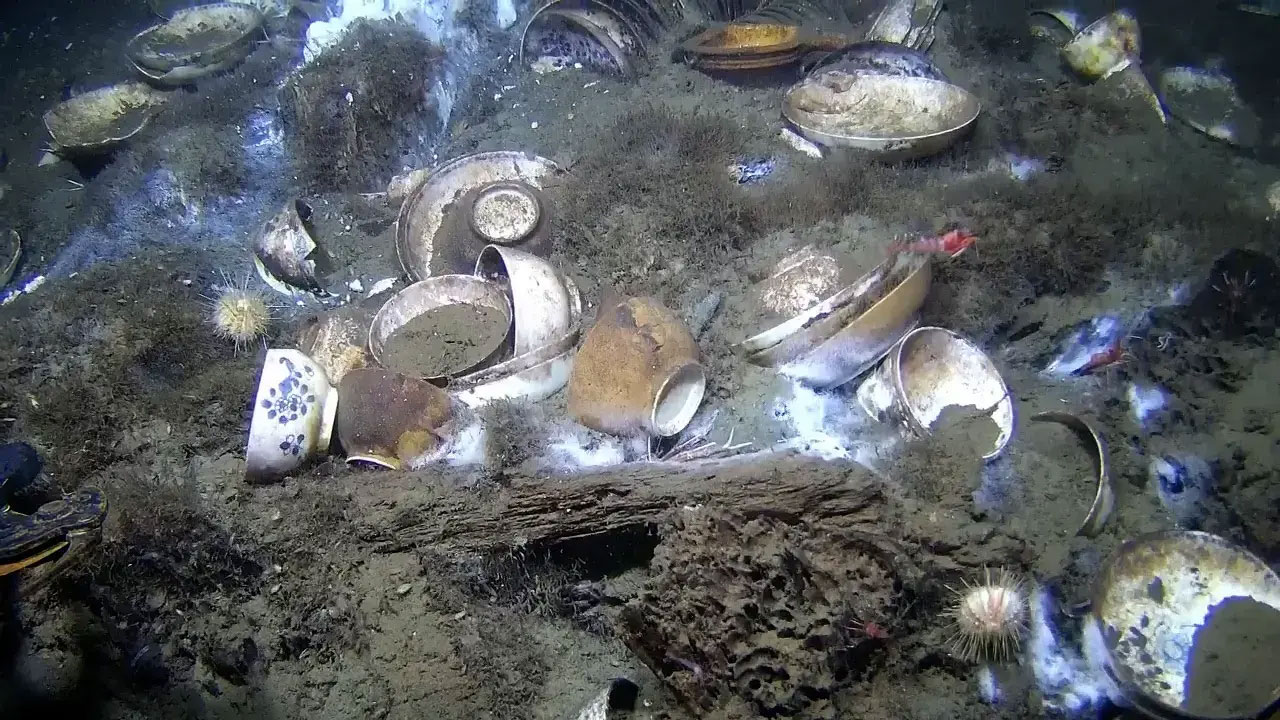 What the Porcelain Wreck Reveals About Research Methods