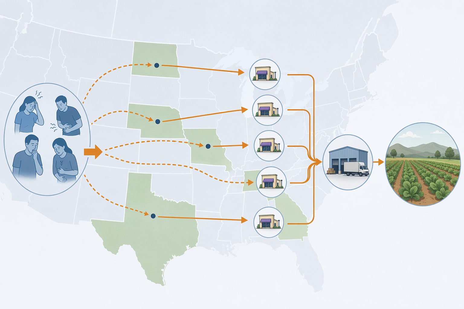 Five Midwestern states connected by investigation arrows to Taco Bell restaurants and a lettuce supply chain