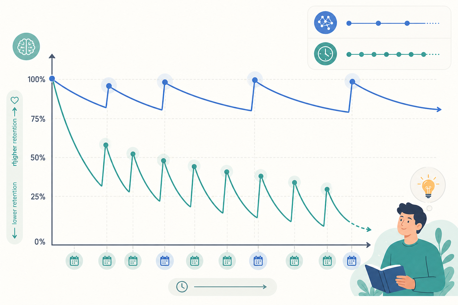Two spaced repetition memory retention curves comparing a steeper-drop older algorithm with a smoother optimally spaced modern algorithm
