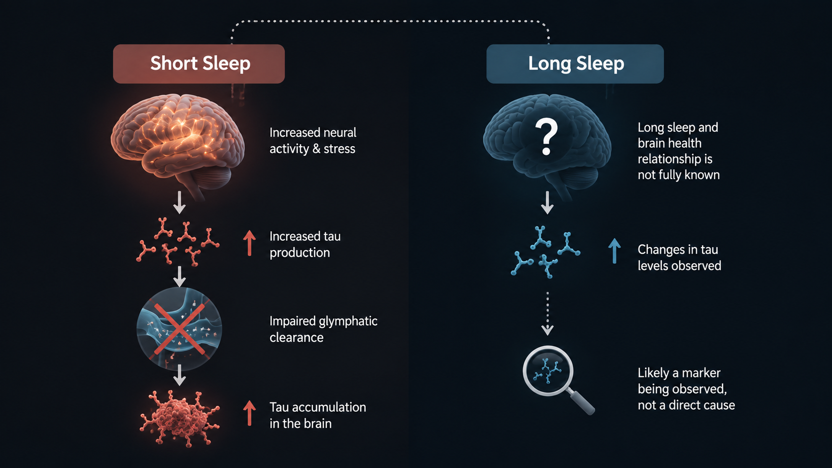 Comparison diagram contrasting short sleep as a mechanistic pathway and long sleep as an observational marker