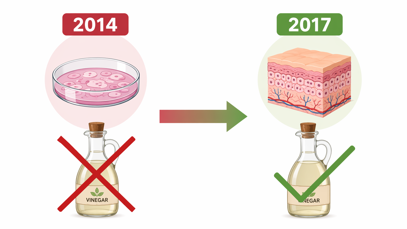 Split illustration showing the 2014 vinegar warning based on a petri dish model and the 2017 vinegar support based on a human skin model