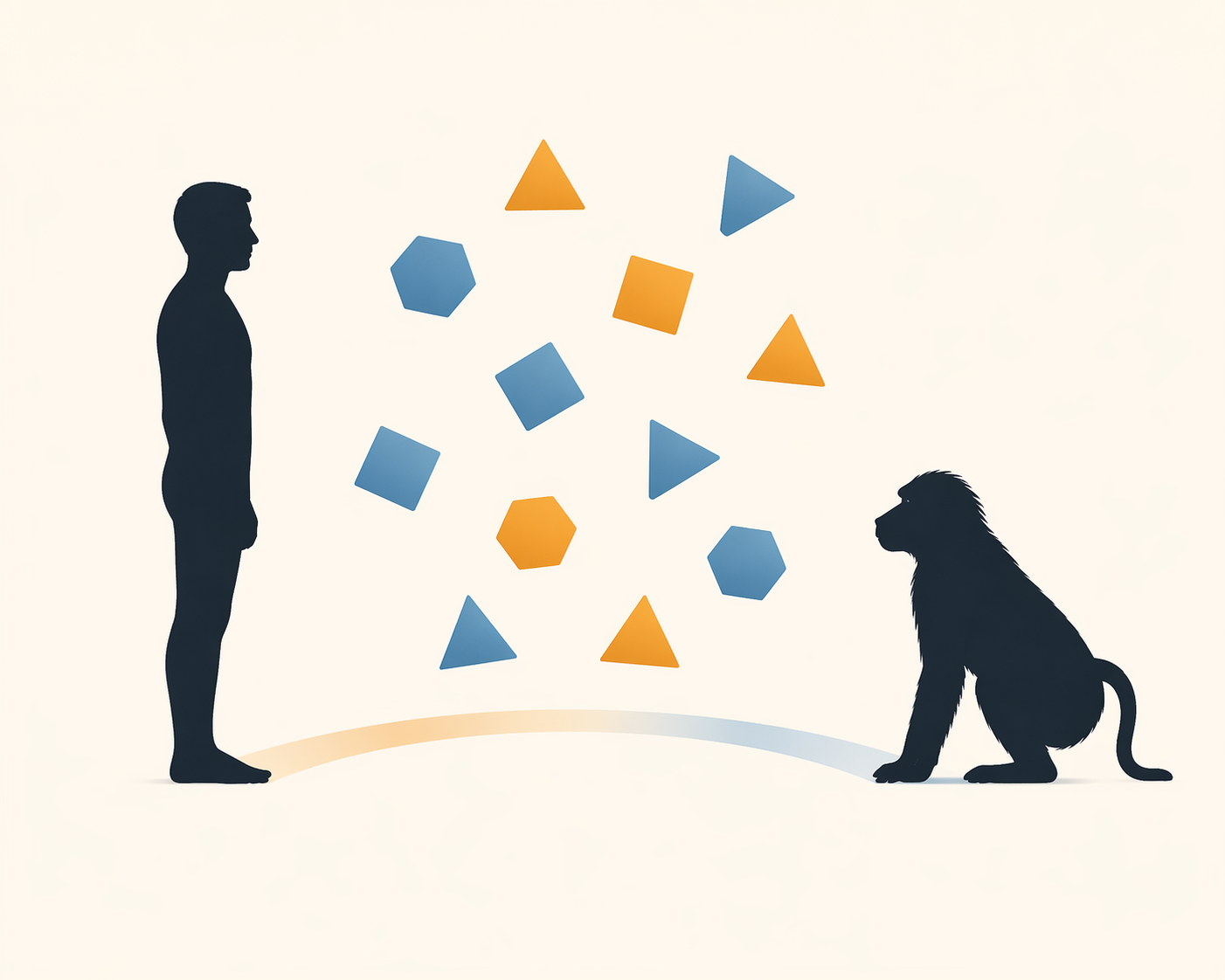 Human and monkey silhouettes facing floating geometric shapes, with upright and rotated shapes shown in contrasting colors