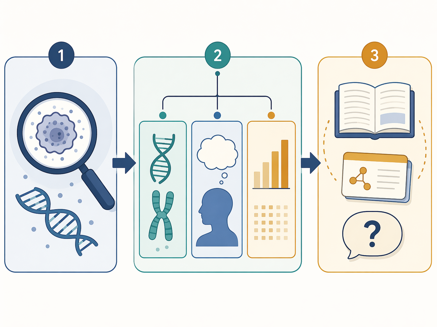 Flowchart showing how disease facts become MCAT domain sorting and then study actions such as flashcards and passage questions