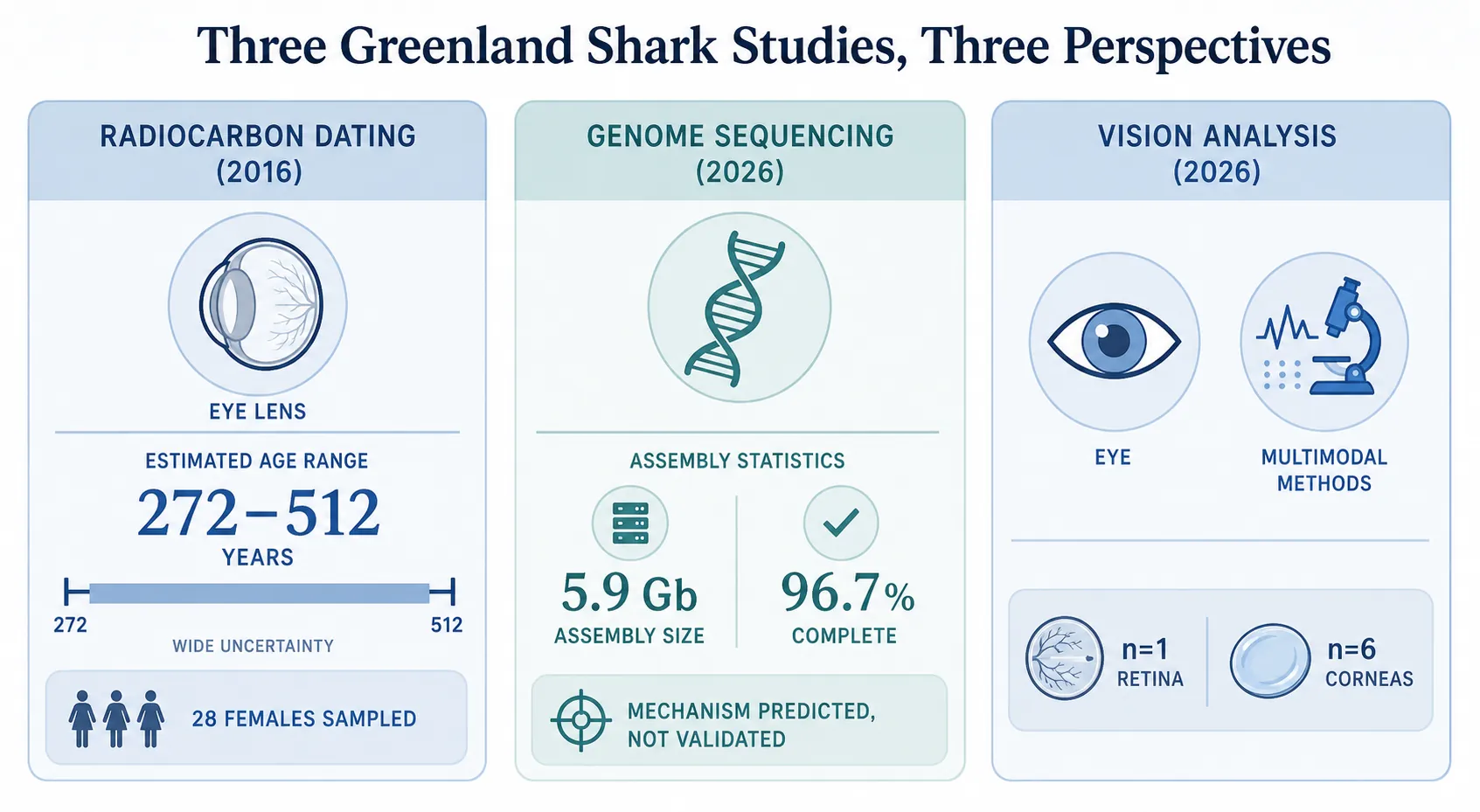 Comparison infographic of radiocarbon dating, genome sequencing, and vision analysis in Greenland shark studies