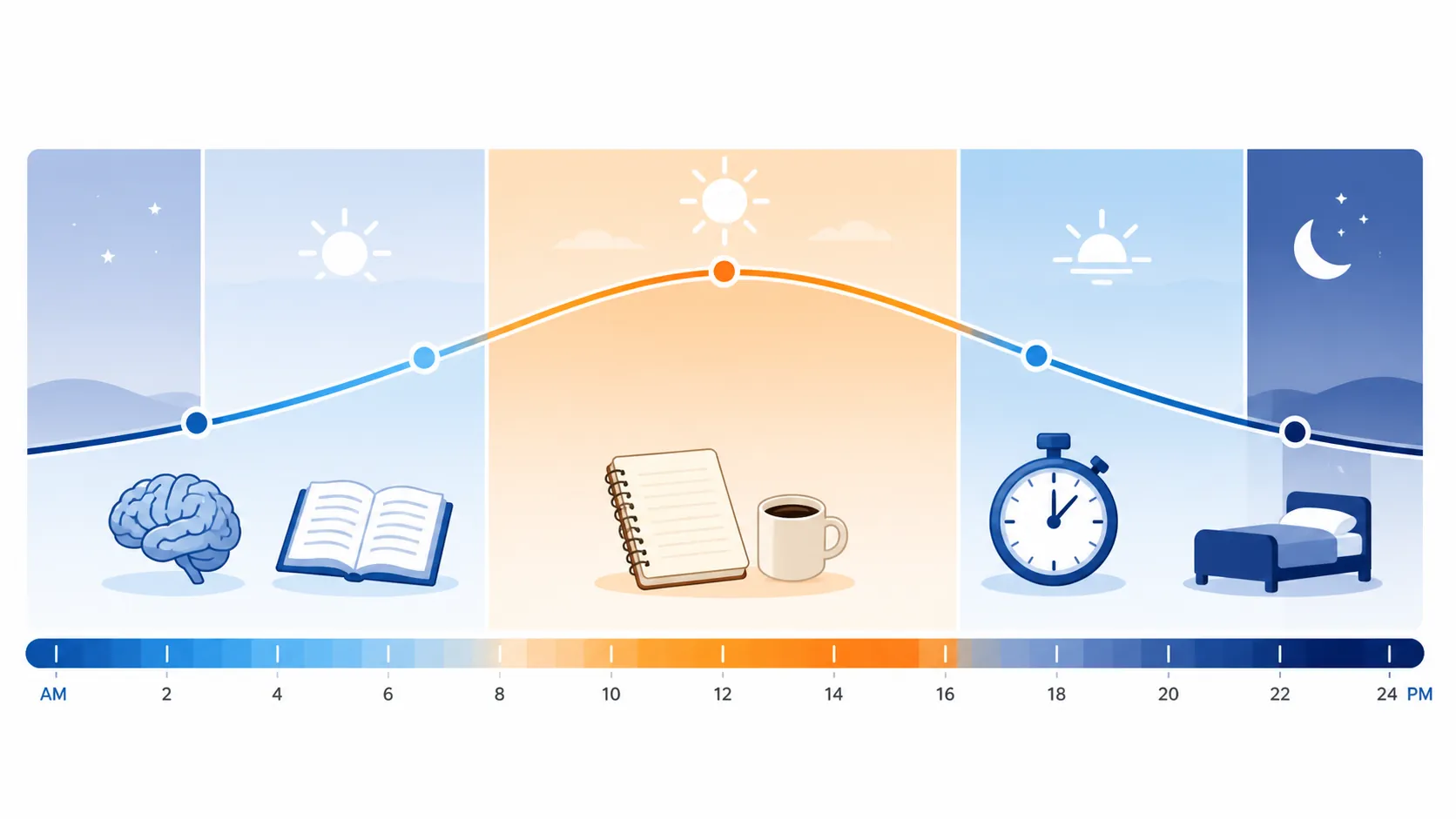 Twenty-four-hour heat-aware study timeline with difficult study in cooler hours, lighter review at midday, practice testing in the evening, and sleep at night