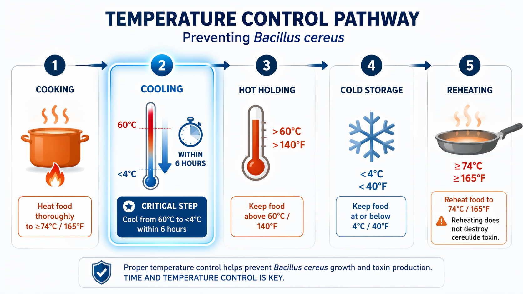Food safety workflow showing cooking, rapid cooling, hot holding, cold storage, and reheating controls for Bacillus cereus