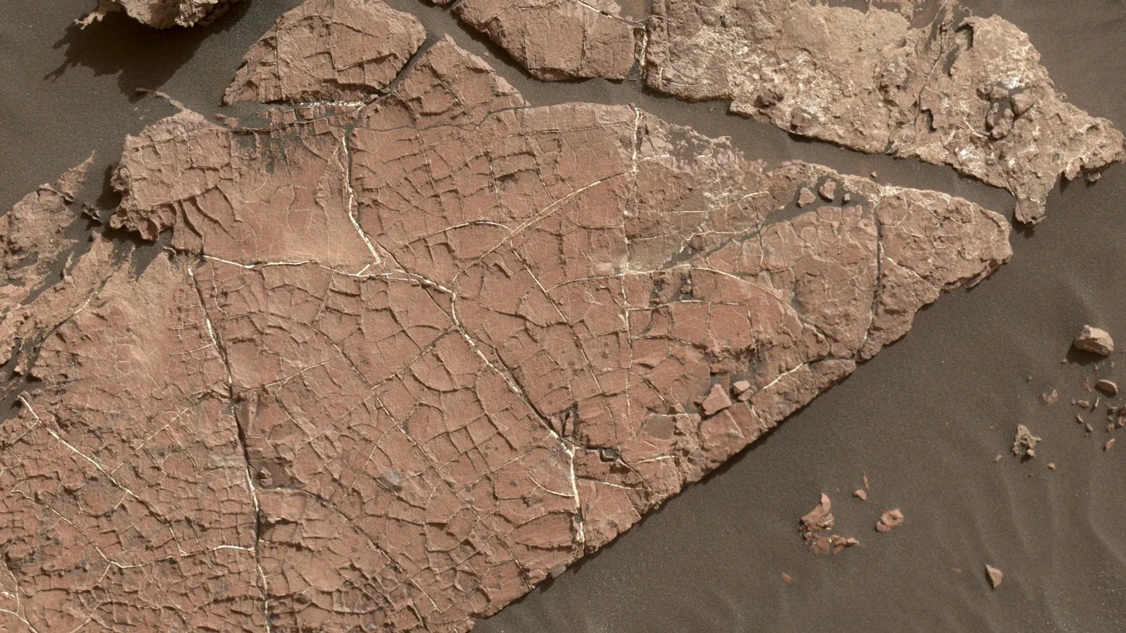 Old Soaker rock slab on Mars showing a polygonal network of possible mud cracks