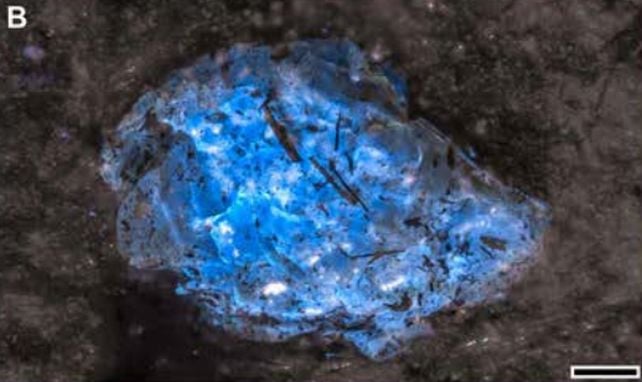 Bright blue fluorescence from Devonian amber fragments under ultraviolet light