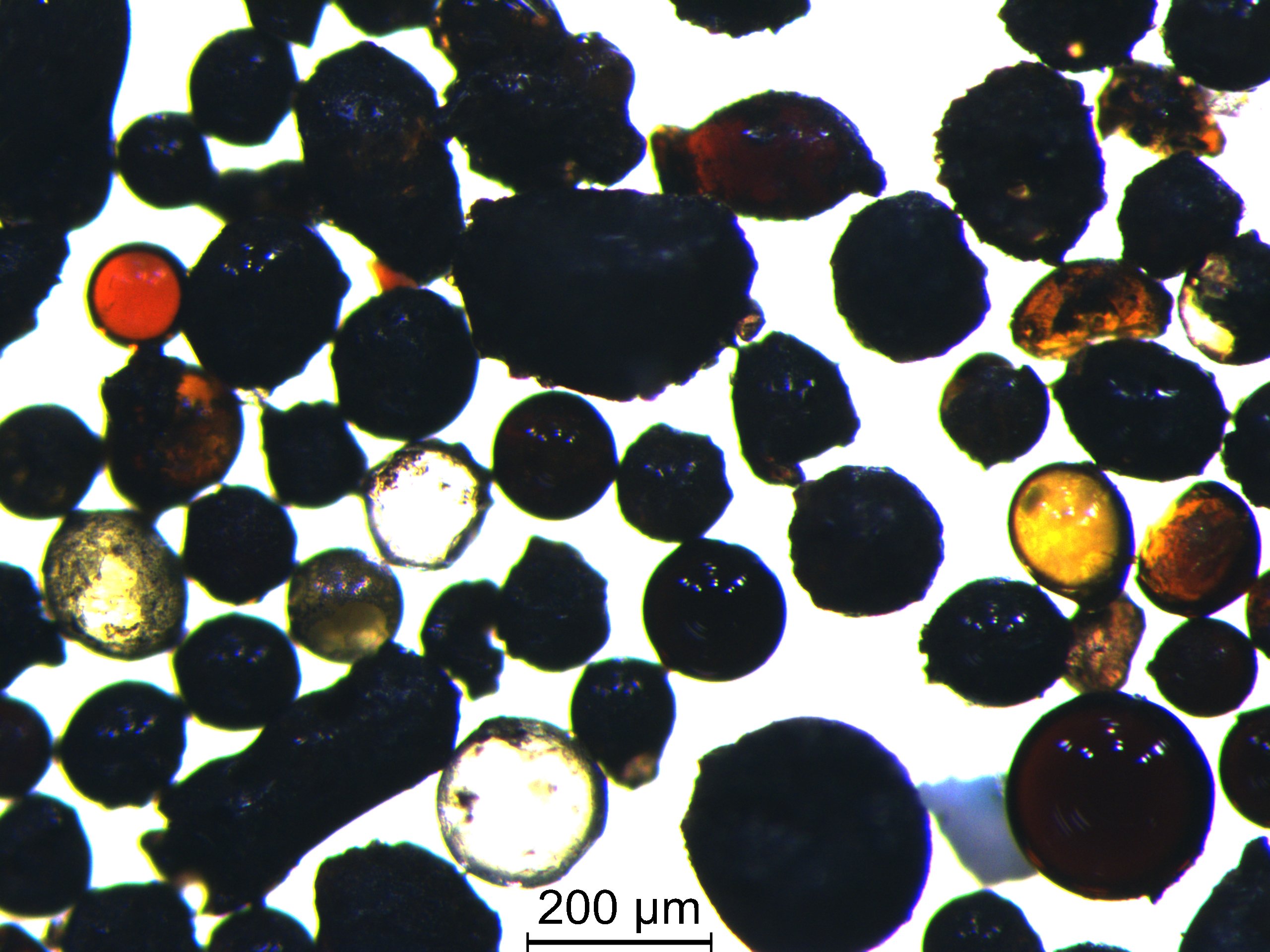 Microscope photograph of Chang’e-5 lunar glass beads in a sample tray