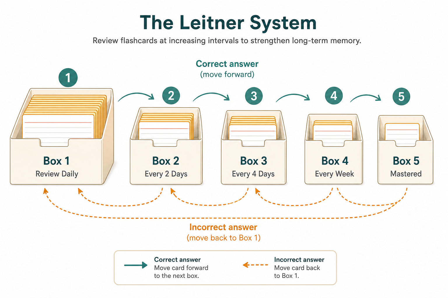 A flat-design diagram showing five labeled card boxes from 'Review Daily' (Box 1) to 'Mastered' (Box 5), with arrows showing cards moving forward on correct answers and back to Box 1 on incorrect answers.