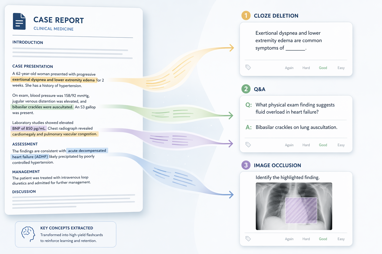How to Study a Tongue Cancer Case Study with Anki