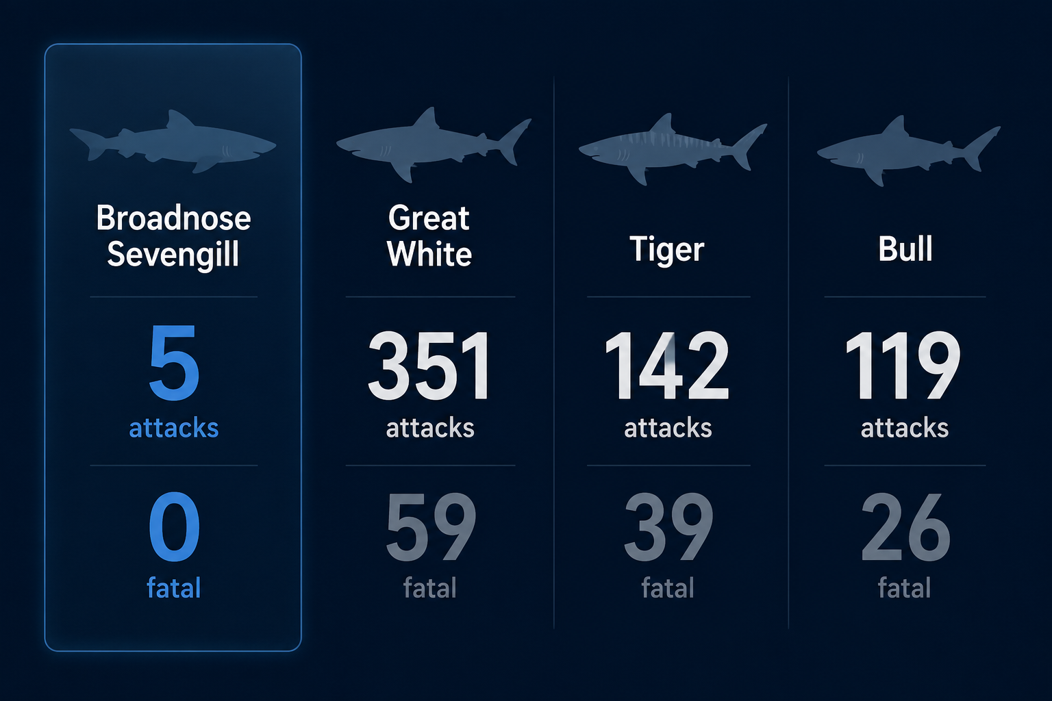 Infographic comparing International Shark Attack File statistics for broadnose sevengill, great white, tiger, and bull sharks