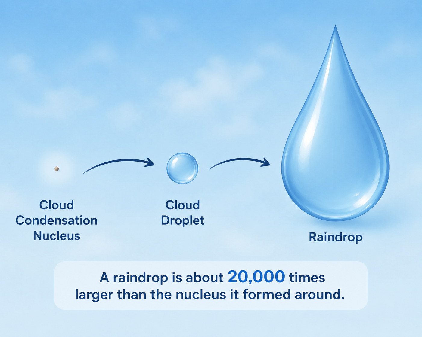 Illustration comparing a tiny condensation nucleus, a cloud droplet, and a much larger raindrop