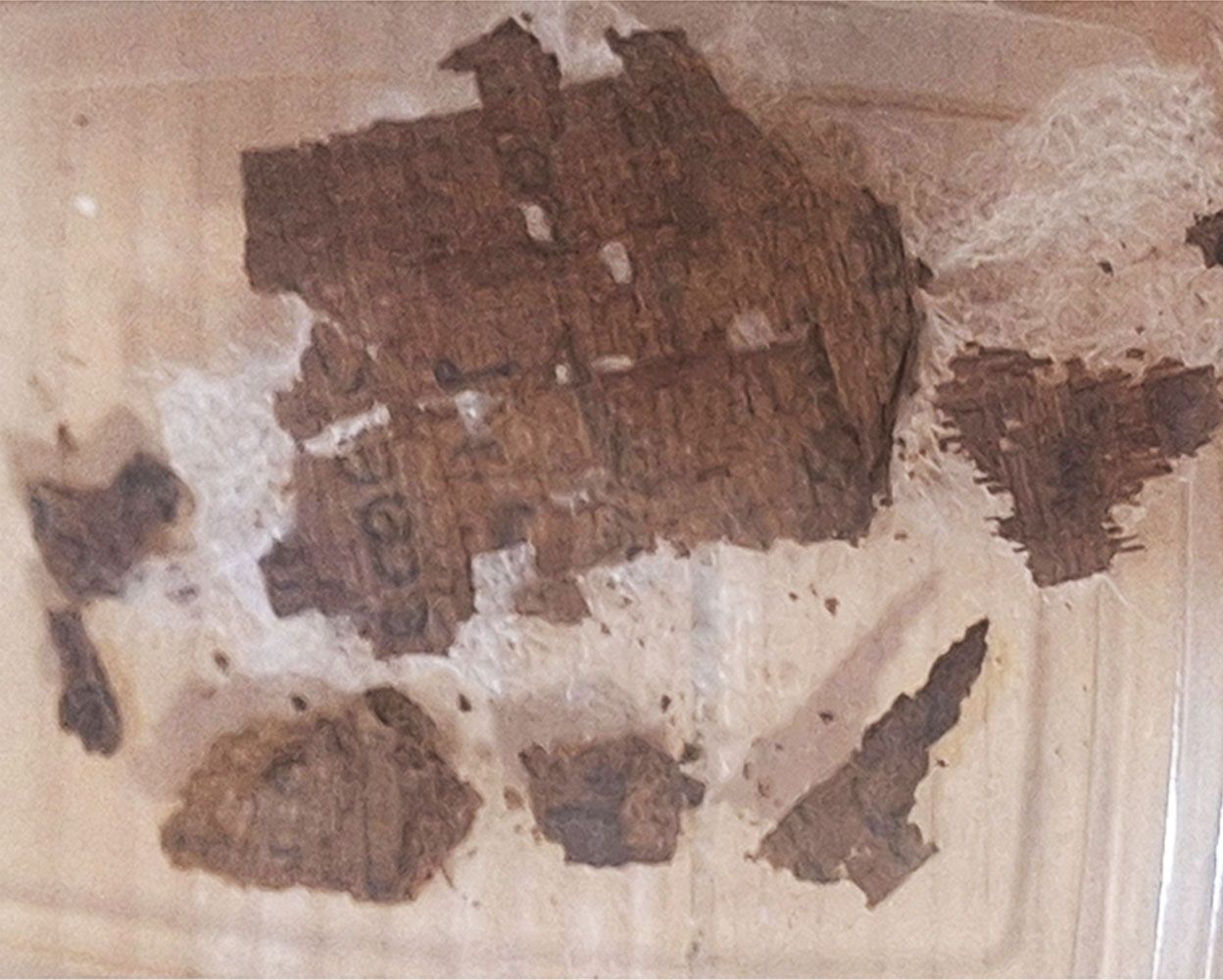 Close-up photograph of an aged papyrus fragment with visible ancient Greek handwriting